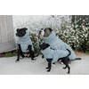 Dog coat Winter pina dusty blue  XXXS