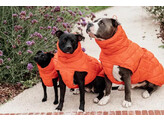 Dog coat Winter pina orange XXXS
