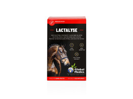 Global Medics Lactalyse 0.4 L
