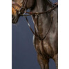 Running martingale brown oversized l D collection