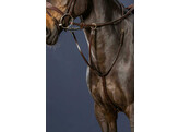 Running martingale brown oversized l D collection