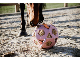 Relax Horse play hay Ball old rose L