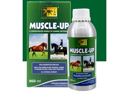 MUSCLE-UP 960ml