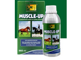 MUSCLE-UP 960ml