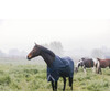 Turnout rug all weather Waterproof Comfort navy 155-6.9 0gram