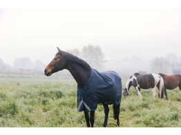 Turnout rug all weather Waterproof Comfort navy 155-6.9 0gram