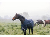 Turnout rug all weather Waterproof Comfort navy 155-6.9 0gram