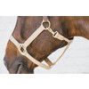 Nylon Halter Breakaway Beige Full