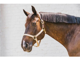 Nylon Halter Breakaway Beige Cob