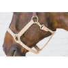 Nylon Halter Breakaway Beige Cob