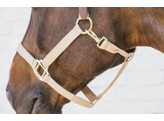 Nylon Halter Breakaway Beige Cob