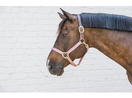 Nylon Halter Breakaway Old Rose Cob