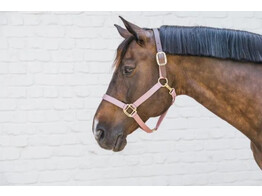 Nylon Halter Breakaway Old Rose Full