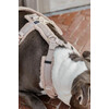 Dog Harness active teddy fleece beige XS 22-36cm