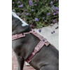 Dog Harness active teddy fleece old rose M 30-48cm