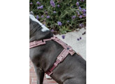 Dog Harness active teddy fleece old rose M 30-48cm