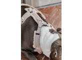 Dog Harness active teddy fleece beige XL 48-70cm