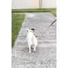 Plaited Nylon dog lead beige size S 2m