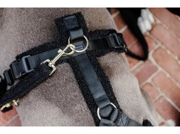 Dog lead Teddy Fleece Black  L 2m