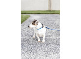 Plaited Nylon dog lead light blue size S 2m