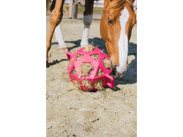 Relax Horse play hay Ball Pink L