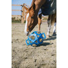 Relax Horse play hay Ball royal blue L