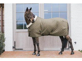 Show rug Khaki 155-6 9 160 gram