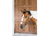 Leather halter Wellington brown COB