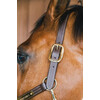 Leather halter Wellington brown COB