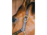 Leather halter Wellington brown COB