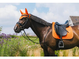 Fly Veil Wellington Diamond rope Orange Full