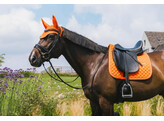 Fly Veil Wellington Diamond rope Orange Full