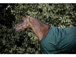 Turnout rug all weather waterproof pro dark green 70-3 6 160 g