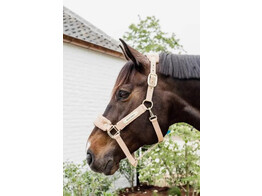 Teddy Fleece halter Beige Pony