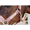 Teddy Fleece halter Old Rose Pony