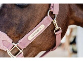 Teddy Fleece halter Old Rose Pony