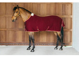 Cooler rug PROTherm bordeaux 155-6 9