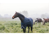 Turnout rug all weather Waterproof Comfort navy 155-6 9 400gram