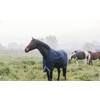 Turnout rug all weather Waterproof Comfort navy 110-5.3 0gram