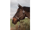 US Halter with adjustment WO coll   Over/brown