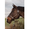 US Halter with adjustment WO coll   Cob/brown