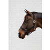 Nylon halter navy Full