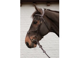Hybrid bridle DY coll   Over/black