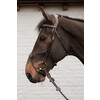 Hybrid bridle DY coll   Pony/black