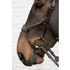 Elastic hybrid bridle DY coll   Full/brown
