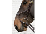 Elastic hybrid bridle DY coll   Full/brown