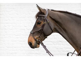 Elastic hybrid bridle DY coll   Over/black