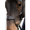 Elastic hybrid bridle DY coll   Pony/black