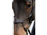 Elastic hybrid bridle DY coll   Pony/black