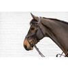 Elastic hybrid bridle DY coll   Pony/black